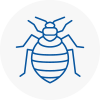 Bed Bug Extermination In Buckden