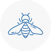 Bee Nest Removal Buckden