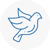 Bird Prevention Buckden