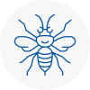 Buckden Hornet Nest Removals