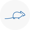 Mice Exterminators In Buckden