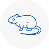 Rat Control Buckden