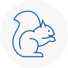 Buckden Rodent Removals