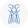 Buckden Wasp Nest Removal